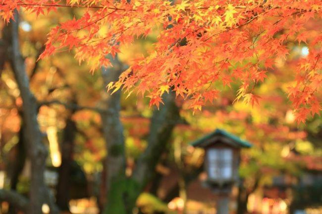 Kanazawa Guest House Nana Exterior foto